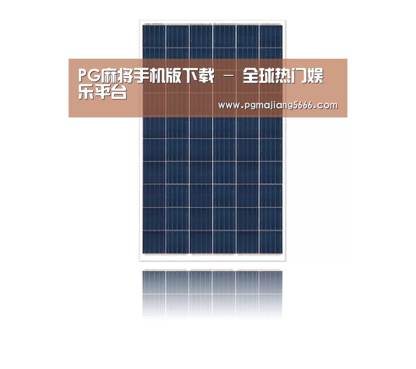 产品名称一