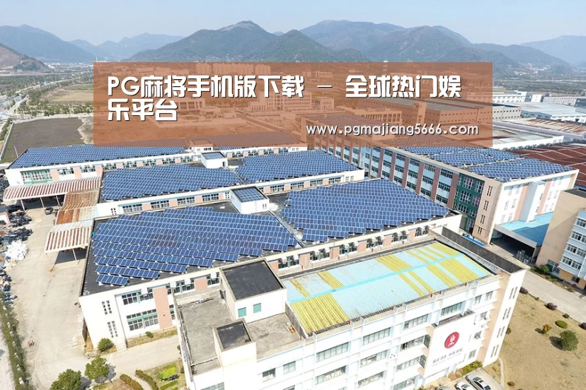 案例展示一