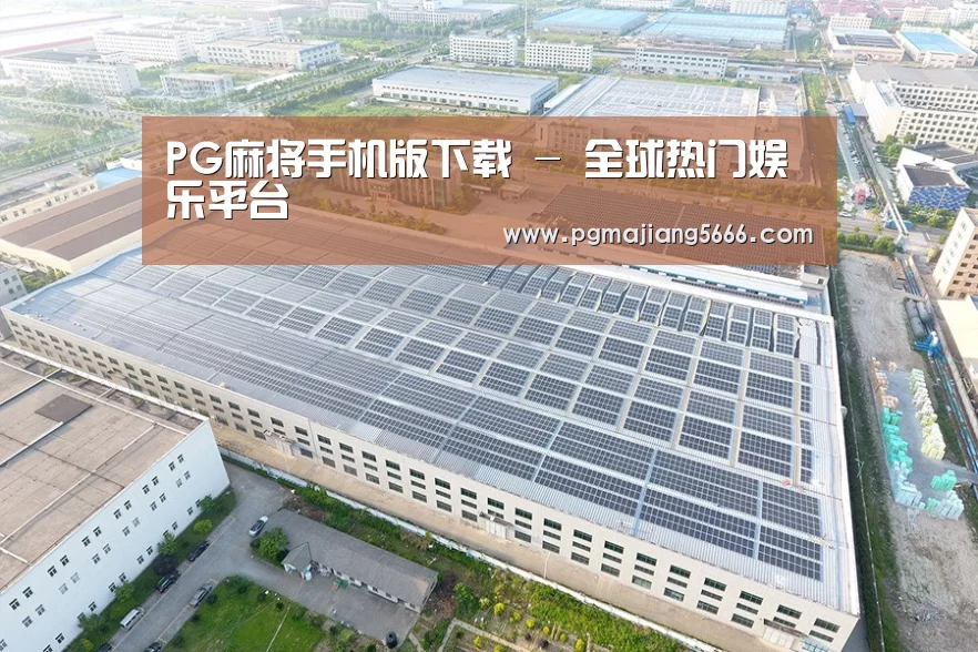 案例展示三