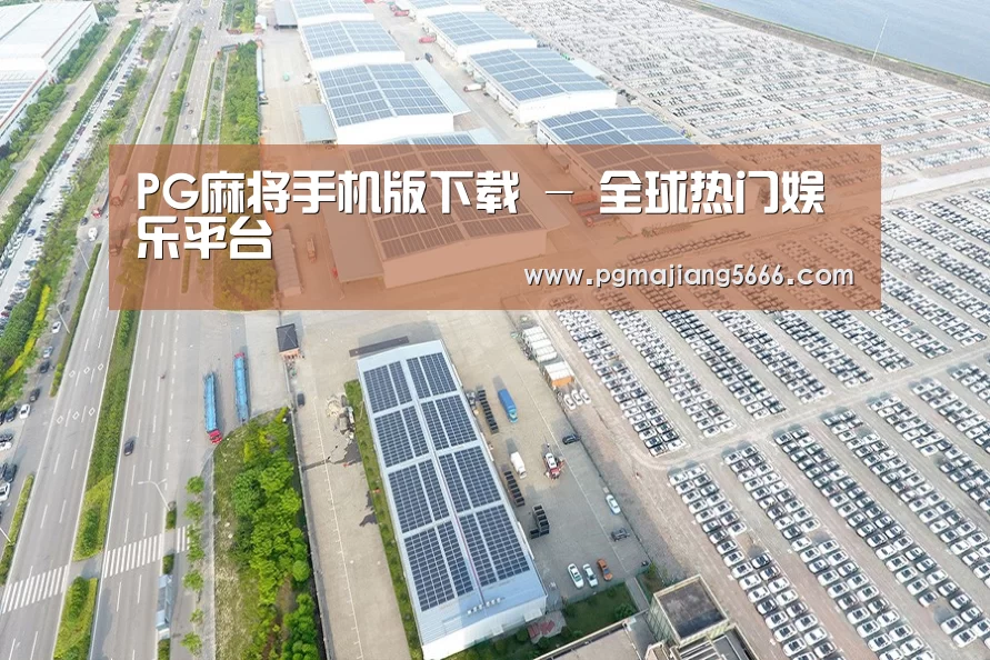 案例展示四