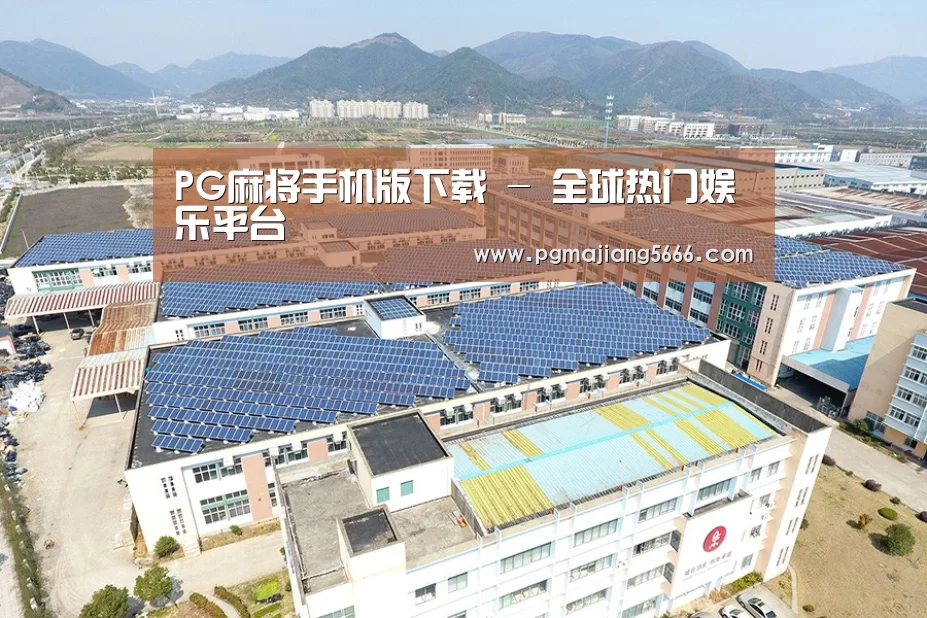 案例展示三