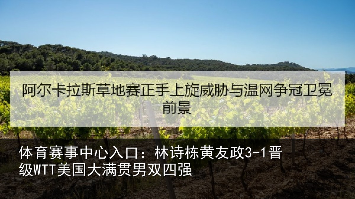 体育赛事中心入口:林诗栋黄友政3-1晋级WTT美国大满贯男双四强