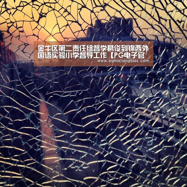 金牛区第二责任组督学葛俊到锦西外国语实验小学督导工作【PG电子官网】(图1) PG官方入口