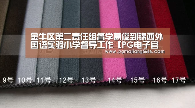 金牛区第二责任组督学葛俊到锦西外国语实验小学督导工作【PG电子官网】(图2) PG麻将官网入口